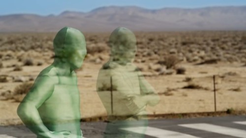 How Not to Be Seen: A Fucking Didactic Educational .MOV File, dir. Hito Steyerl (2013)