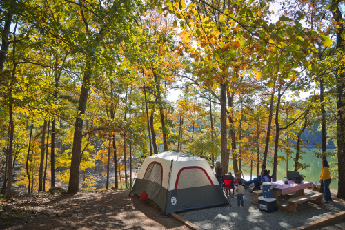 Leaf Watch Website Tracks Best Fall Color in Georgia