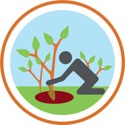 Lifescouts: Gardening BadgeIf you have this badge, reblog it and share your story;If not, go and wri