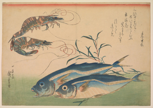 Horse Mackerel (Aji) with Shrimp or Prawn, with Inscription, Hiroshige, ca. 1832-33