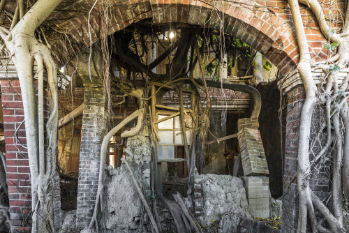 itscolossal: Nature Reclaims Abandoned Castles, Theaters, and Monasteries in Photographs by Jonk Goo