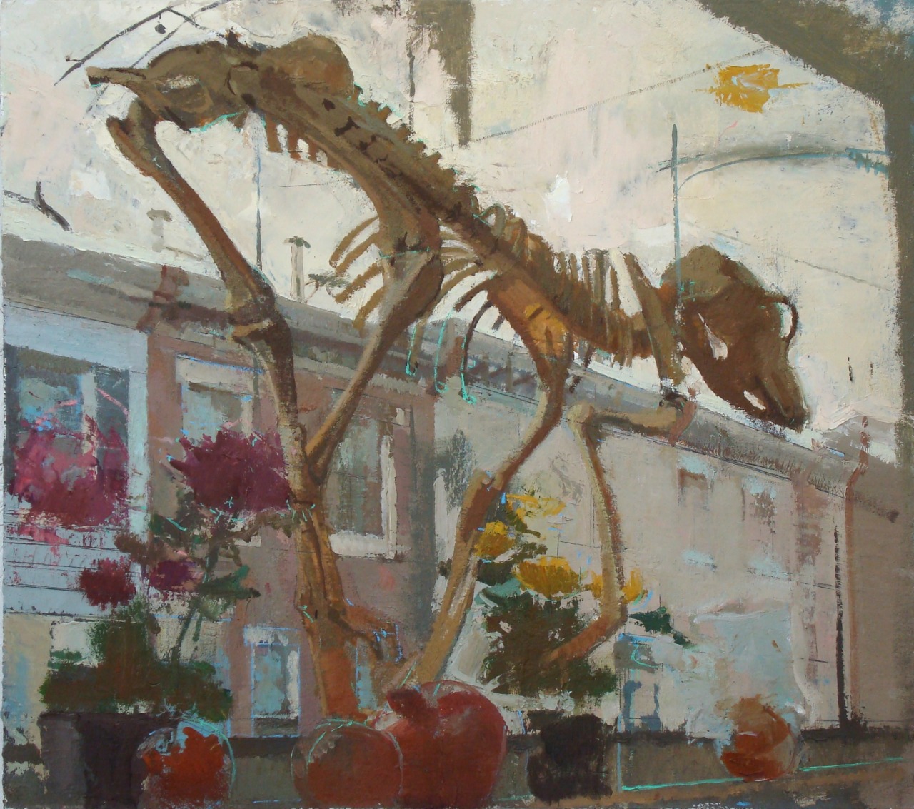 urgetocreate:  Peter Van Dyck, Dog Skeleton,  St. David’s Street