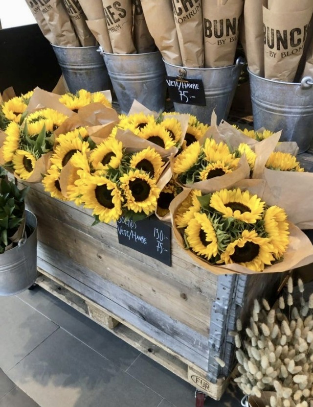 crazysmileandsunflowers:Sunnies💛🌻💛