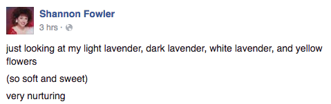 thatsmoderatelyraven:  Facebook is so weird I’ll see annoying political posts and then ill scroll down to pure posts by Shannon Fowler
