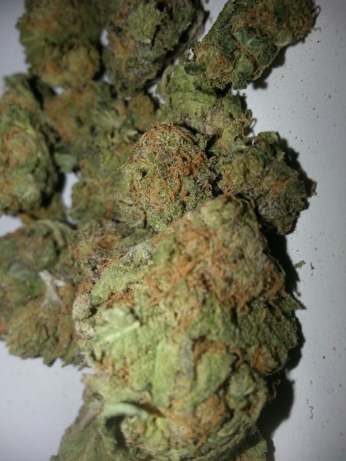 atlashandsliam:  Friday