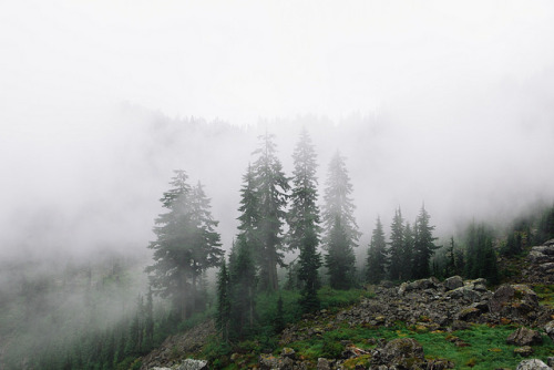 divenir-e:Seymour Backcountry by ben giesbrecht on Flickr.For Nemophiliacs