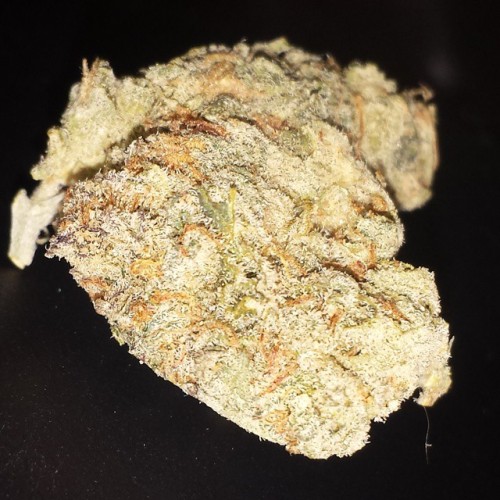 weedporndaily:#BlueDream by @themostghost1