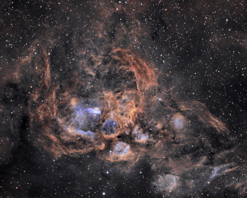 galaxiesoftheuniverse:   NGC 6357   NGC 6357 is a diffuse nebula near NGC 6334 in the constellation Scorpius. The nebula contains many proto-stars shielded by dark disks of gas, and young stars wrapped in expanding “cocoons” or expanding gases surrounding