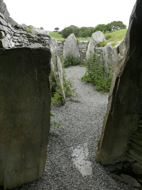 Capel Garmon Burial Chamber, near Betws y Coed, North Wales, 25.8.17. An extensive passage grave tha