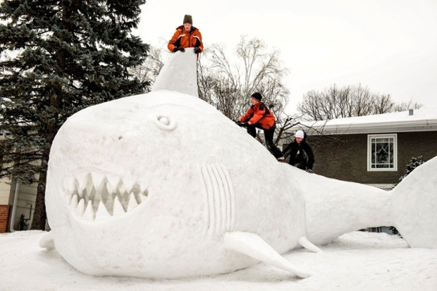 This family have made the most of the recent snow fall by building a 16-foot high snow shark in Minneapolis, Minnesota. It took around 95 hours to built the snow shark. (Photo by MCT/Landov/Barcroft Media via The Guardian)