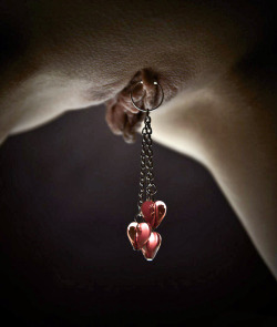 intimschmuck, genital jewelry, clit clip