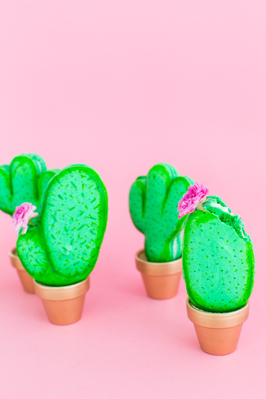 loopylass55:  sweetoothgirl:  DIY Potted Cactus Macarons   Yum! Love these they look