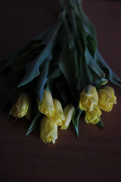 floralls:  by Julia Vospolit