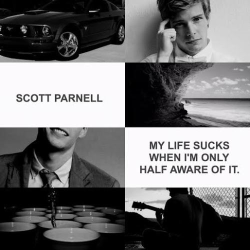 artistpeeta:  YA LIT MEME: ten series or books. &gt; Hush, Hush (saga); Becca Fitzpatrick &ldquo