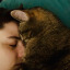 a-wild-allycat-appeared