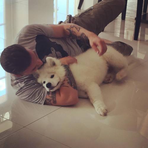 howardswife: “Kevin the cutest dog ever” ~ Chris @cydoniahype