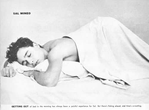 theniftyfifties:Sal Mineo in Screenland magazine, March 1957.