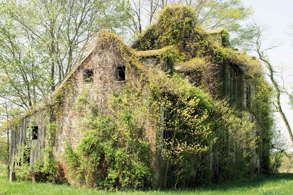 abandoned-playgrounds:  Abandoned Home in Maryland  