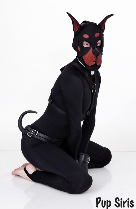 pupsiris:  New set of pics coming in soon!  