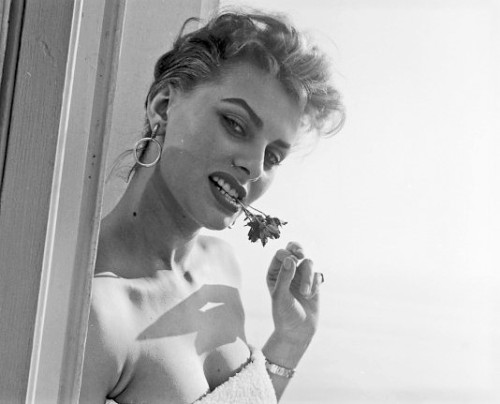 gatabella:Sophia Loren on the balcony of Carlton Hotel, Cannes, 1955