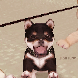 Nintendogs Stimboard 