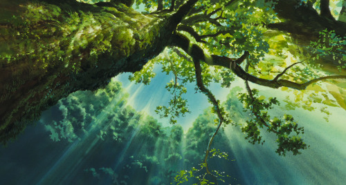 mashironn:  Mononoke Hime’s scenery in 1080p (click to enlarge). 