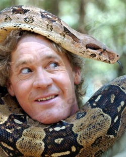 Today would have been the birthday of the man responsible for my love of snakes. Happy birthday Steve.#Snakes #TopMan