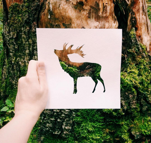 Open nature