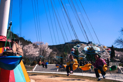 Children on swings Pyongyang, DPRK 2013