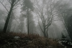 wonderlust444: