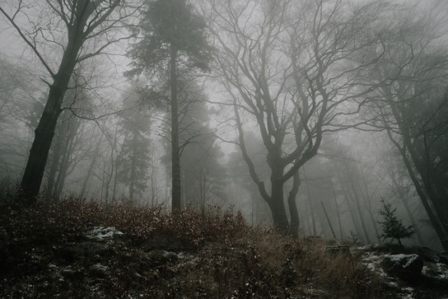 wonderlust444: