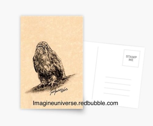 “Beauty of a Hawk” is a ink painting in my bird card series. You can see my different cards availabl