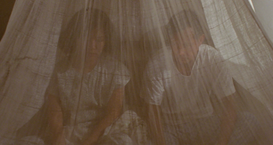 12h51mn:favorite films featuring a scene with a mosquito netThe Terrorizers (1986),