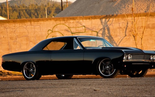 Muscle Cars Fans
