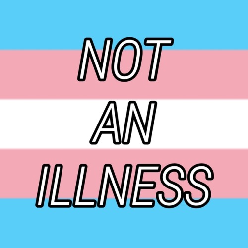 genderqueerpositivity:(Image description: six images with the trans flag as a background and text in