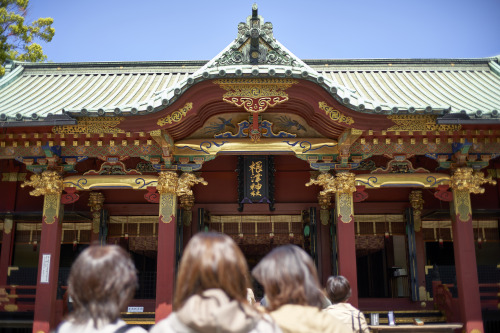 「春の谷根千」ツツジがそろそろかなと思い今日は谷根千へ根津神社のツツジは8分咲きといったところいい感じの見ごろ暖かさに誘われるように谷根千の人出も結構あるように思えた蔓延防止措置になるのだけどケアをし