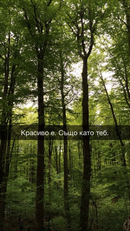 Ety Borisova