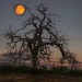 hoke53:Good night friends