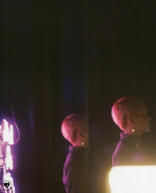 bangtan-sonyeon-scans: My scans must credit me if repost anywhere BTS wings concept photobook