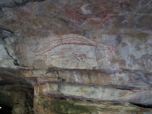 ancientart:Aboriginal rock art from Gunbalanya, Northern Territory, Australia.Photos courtesy of &am