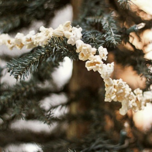 zodiac&ndash;signs: Capricorn Holidays Moodboard ❄️ Blessed Solstice; Happy Yule; Merry Chr