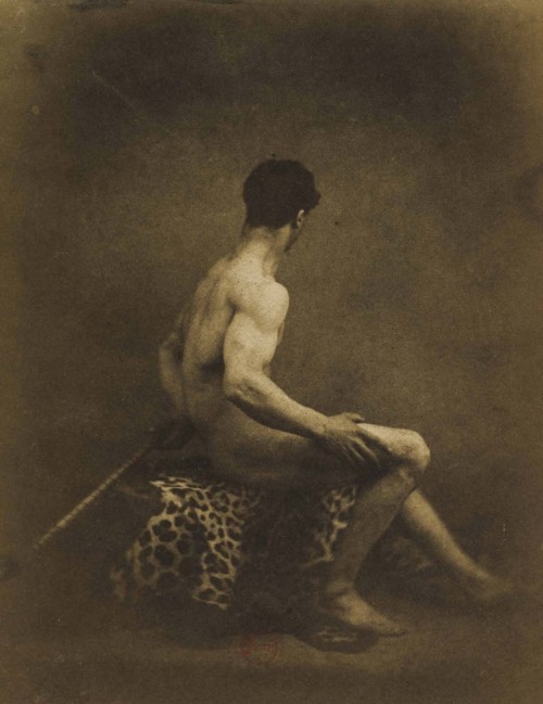 Male Model Sitting on a Panther Skin, by Jean Louis Marie Eugène Durieu.