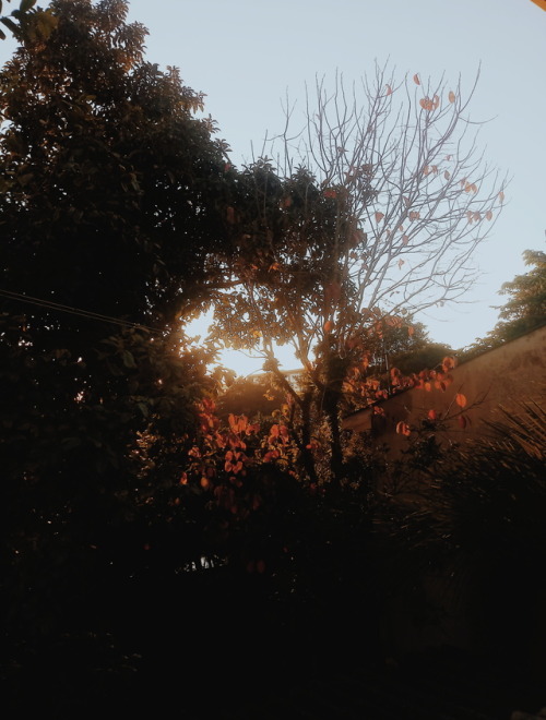 Winter Sometimes Makes Me Sad And Inspired, But Not Inspired Enough To Make Something Pretty With The
