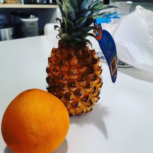 Mini #ananas natalizio per gentile concessione dell'ortolano dietro casaEra troppo in miniatura pe