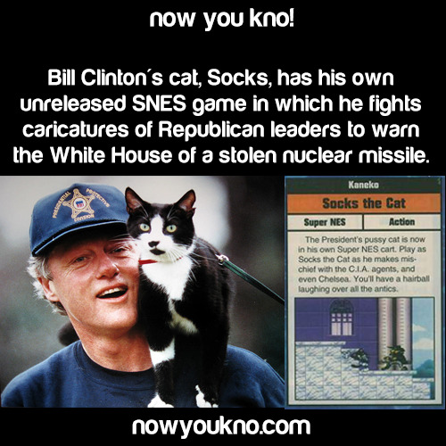 nowyoukno:  Now You Know more about Bill Clinton! (Source 1, 2, 3, 4, 5 and 6)