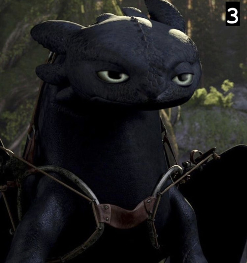 Which Toothless Are You Today?
