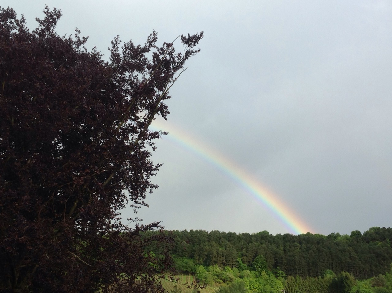 Happy day #86, 07/05/2014: Rainbows :)