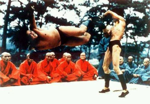 taichi-kungfu:  Bruce lee was the father of MMA, the master of Kung fu.