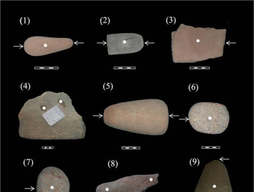 Agriculture pre-dates domestication evidence in China