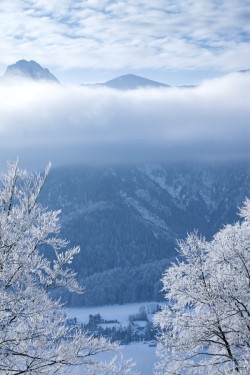 accio-forest:  Winter Morning by Wojciech